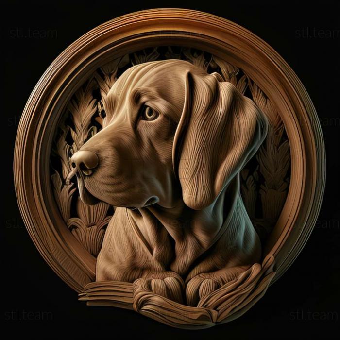 3D модель Увидел аргентинскую собаку (STL)